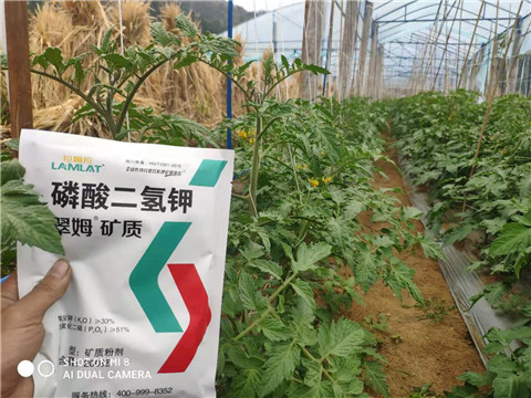 磷酸二氫鉀，拉姆拉，翠姆