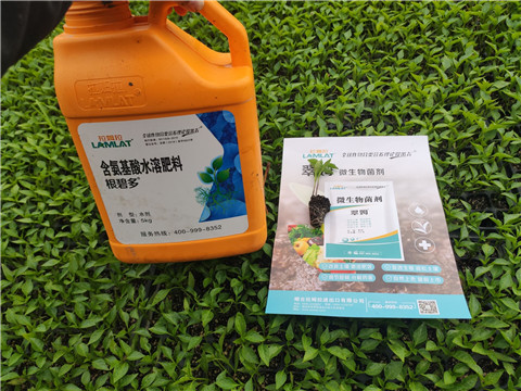 水溶肥，拉姆拉，翠姆