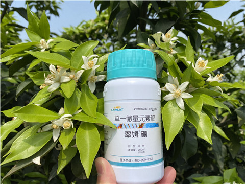 葉面肥，拉姆拉，翠姆