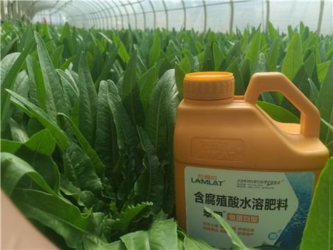 沖施肥，拉姆拉，翠姆