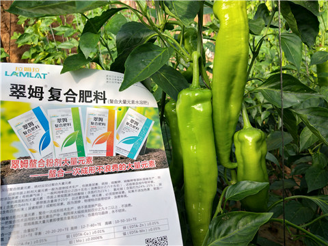 辣椒，拉姆拉，翠姆