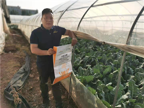 大量元素水溶肥，拉姆拉，翠姆