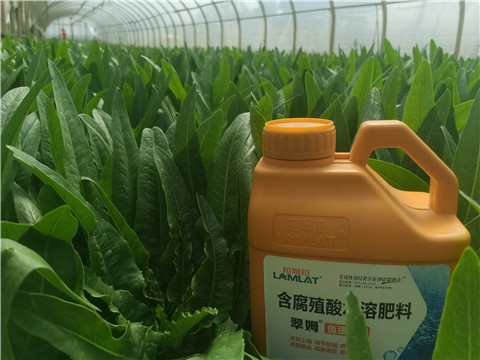 水溶肥，翠姆，拉姆拉