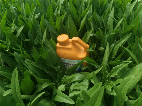 水溶肥，翠姆，拉姆拉