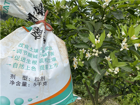 水溶肥，翠姆，拉姆拉
