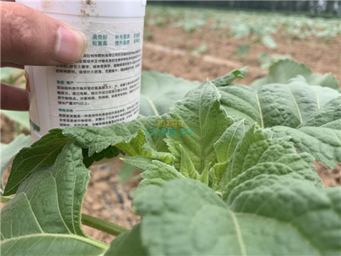 水溶肥，翠姆，拉姆拉