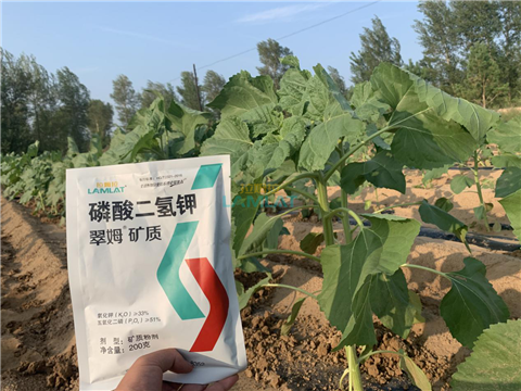 水溶肥，翠姆，拉姆拉