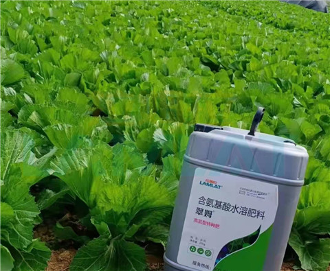 水溶肥，翠姆，拉姆拉