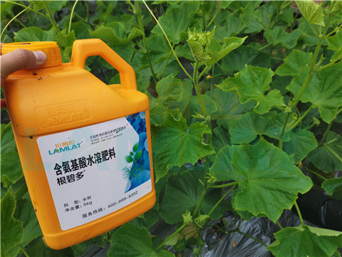 水溶肥，拉姆拉，翠姆
