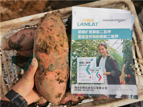 水溶肥，拉姆拉，翠姆