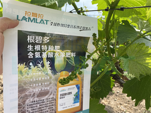 水溶肥，拉姆拉，翠姆