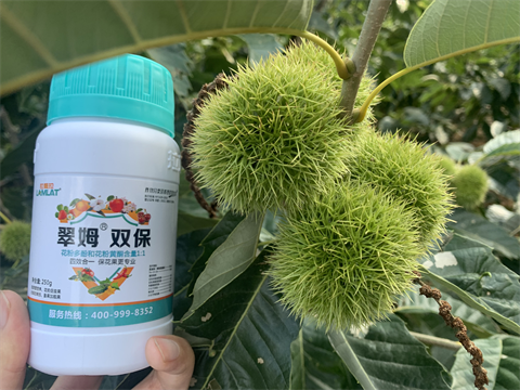 水溶肥品牌,板栗?；ū９?翠姆雙保
